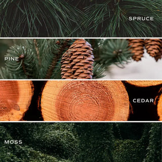 Christmas Tree Farm 15 oz Matte Soy Candle