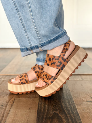 Reef Water Vista Higher, Leopard