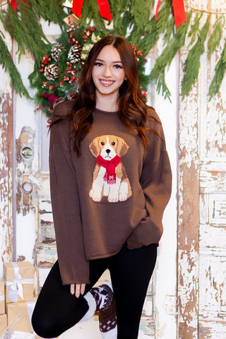 BLUE PEPPER Women's Paws & Cocoa Knit Pullover
