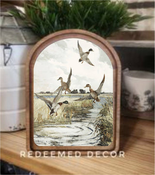 Mallard Ducks Arch Framed Art 6x8"