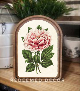 Vintage Peony Arch Framed Art 6x8"