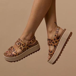 Reef Water Vista Higher, Leopard