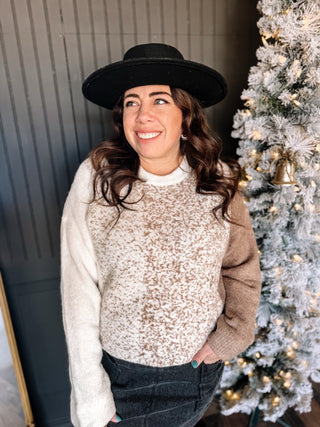 Cabin Retreat Colorblock Winter Sweater, Neutrals - The Farmhouse