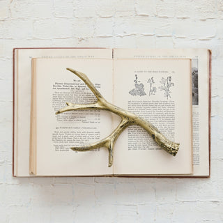 Styled view of distressed gold cast iron antler