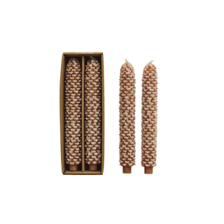 Wheat color pinecone-shaped taper candles with snow finish, boxed set of 2