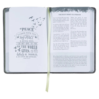 Pocket Bible Devotional For Guys Faux Leather
