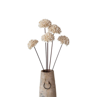 Dried Natural Sesame Flower Bunch (set of 5) - The Farmhouse