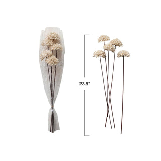 Dried Natural Sesame Flower Bunch (set of 5) - The Farmhouse