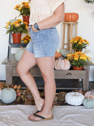 Judy Blue High Waist Destroy Denim Shorts - 220 Shorts & Skirts - The Farmhouse