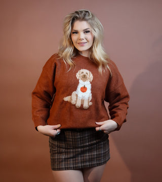 Le Lis brown crew neck sweater with playful Pumpkin Patch Pup fall detail