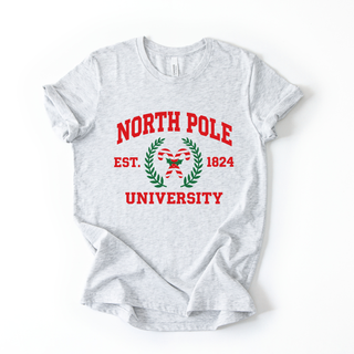 North Pole University Crewneck in Grey