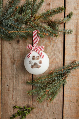 Paw Print Ornament Kit - The Farmhouse