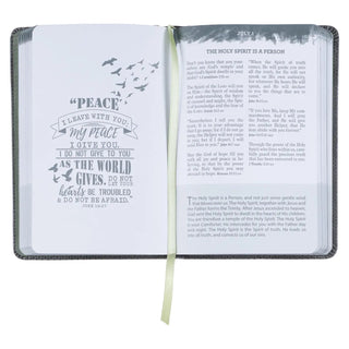 Pocket Bible Devotional For Guys Faux Leather - 423 Stationery - The Farmhouse