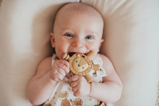 Ritzy Teether Baby Molar Teether - Lion - The Farmhouse