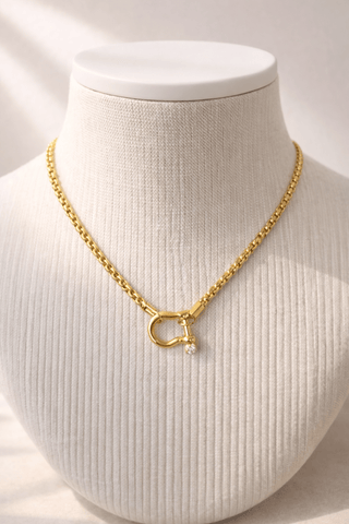 The Lock & Luxe Necklace - 290 Jewelry - The Farmhouse