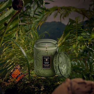 Voluspa Small Jar 5.5oz Candle, Temple Moss - 410 Candles & Scents - The Farmhouse