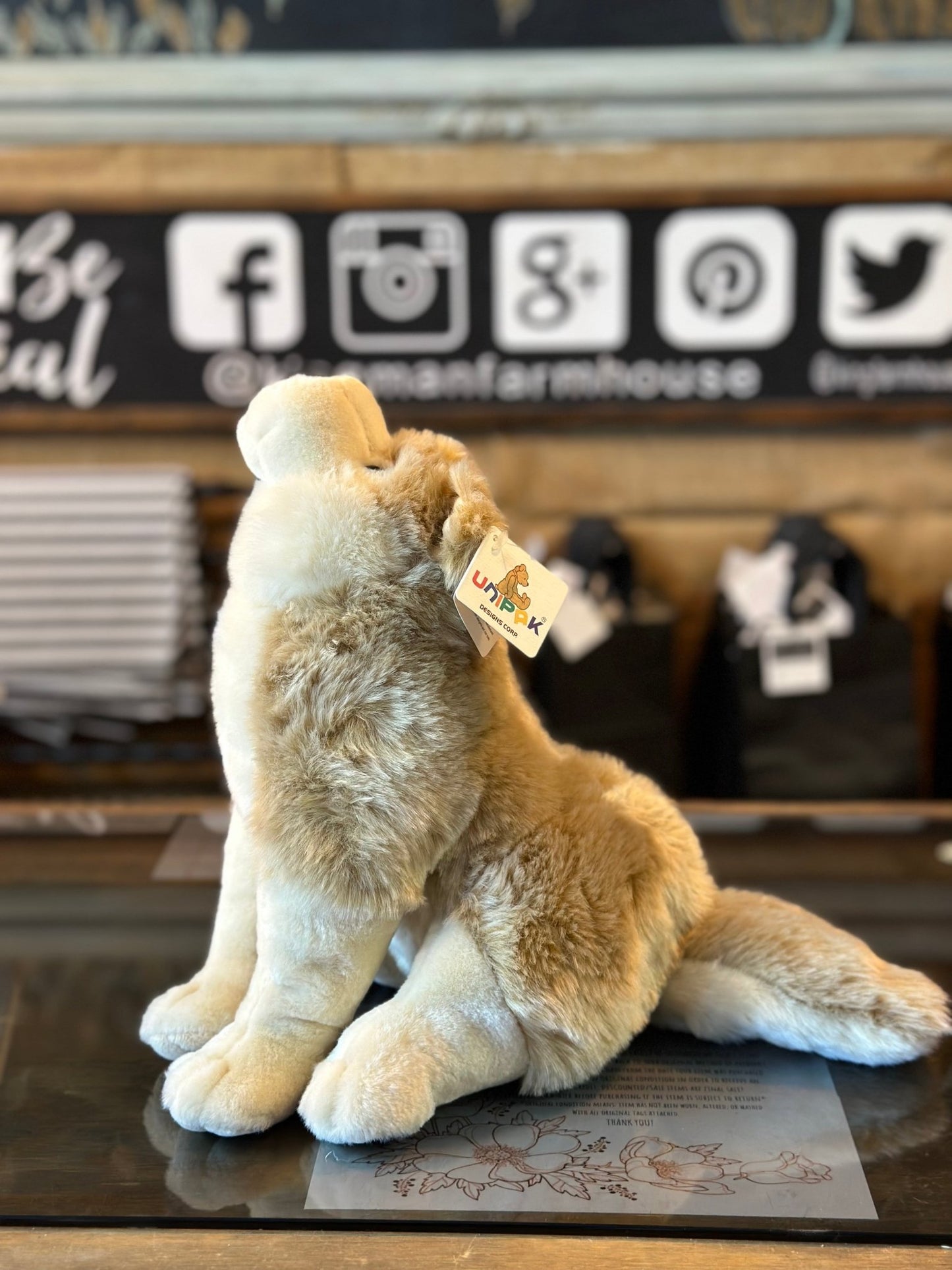 Coyote Plush Toy The Farmhouse AZ